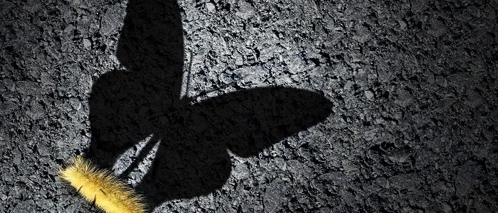 What Are You Worth?       Part II – God’s View