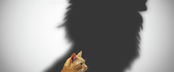 What Are You Worth?    Part I