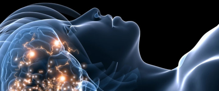 The Evolution of the Conscious Mind