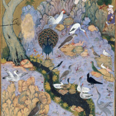 About The Parliament of the Birds