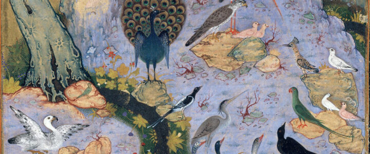 About The Parliament of the Birds