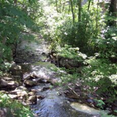 The Tale of the Sands