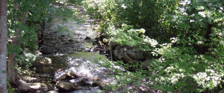 The Tale of the Sands