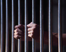 The Origins of Violence