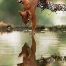 Dealing With Your Wounds