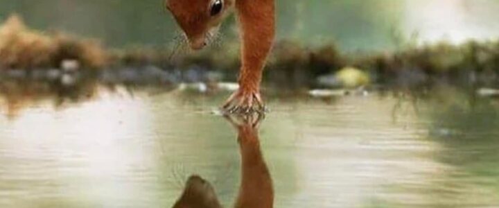 Dealing With Your Wounds