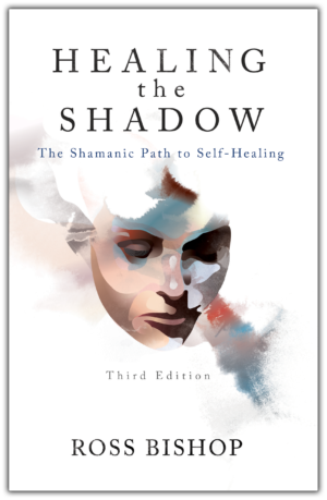 Healing The Shadow - Third Edition