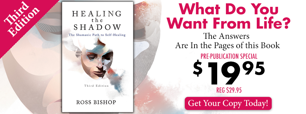 healing the shadow - book sale