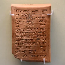 THE HISTORY OF COMPASSION THE HISTORY OF COMPASSION