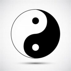 THE YIN AND YANG OF LIFE
