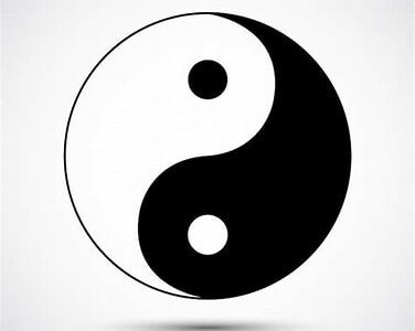 THE YIN AND YANG OF LIFE