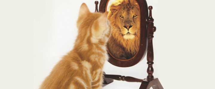 ARE YOU HAPPY? ARE YOU HAPPY?