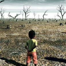 What You Can Do About Global Warming What You Can Do About Global Warming