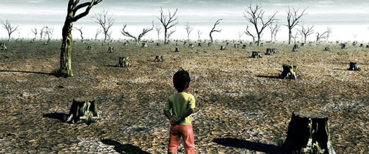 What You Can Do About Global Warming What You Can Do About Global Warming